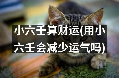 小六壬算财运(用小六壬会减少运气吗)