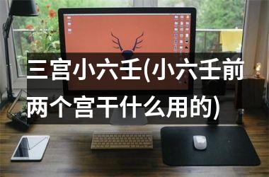<h3>三宫小六壬(小六壬前两个宫干什么用的)