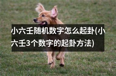 小六壬随机数字怎么起卦(小六壬3个数字的起卦方法)