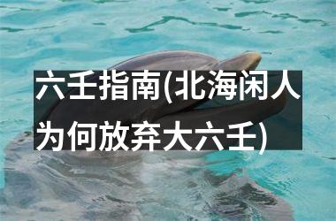 <h3>六壬指南(北海闲人为何放弃大六壬)