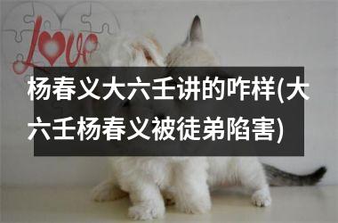 杨春义大六壬讲的咋样(大六壬杨春义被徒弟陷害)