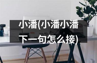<h3>小潘(小潘小潘下一句怎么接)