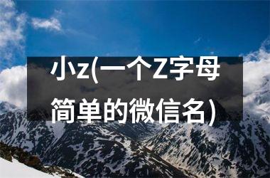 <h3>小z(一个Z字母简单的微信名)