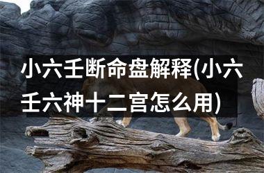 小六壬断命盘解释(小六壬六神十二宫怎么用)