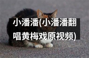 <h3>小潘潘(小潘潘翻唱黄梅戏原)