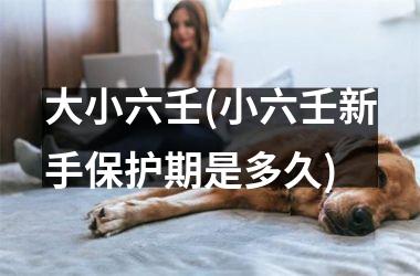 大小六壬(小六壬新手保护期是多久)