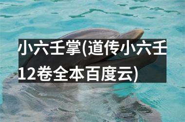 <h3>小六壬掌(道传小六壬12卷全本百度云)