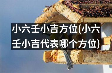 小六壬小吉方位(小六壬小吉代表哪个方位)
