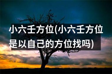 小六壬方位(小六壬方位是以自己的方位找吗)