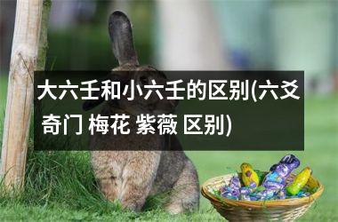 <h3>大六壬和小六壬的区别(六爻 奇门 梅花 紫薇 区别)
