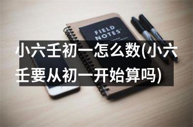 <h3>小六壬初一怎么数(小六壬要从初一开始算吗)
