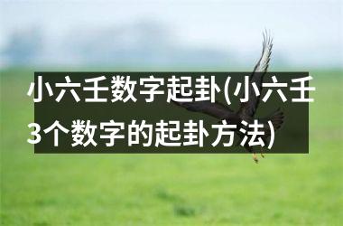 小六壬数字起卦(小六壬3个数字的起卦方法)