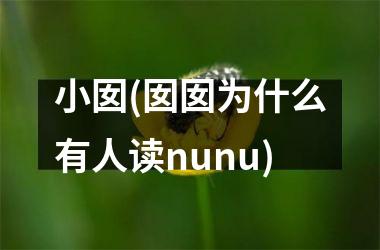 <h3>小囡(囡囡为什么有人读nunu)