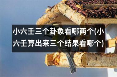 <h3>小六壬三个卦象看哪两个(小六壬算出来三个结果看哪个)