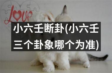 小六壬断卦(小六壬三个卦象哪个为准)