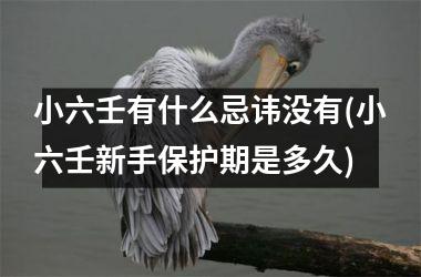 <h3>小六壬有什么忌讳没有(小六壬新手保护期是多久)
