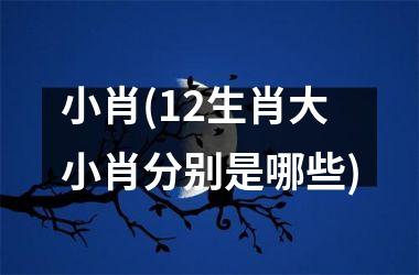 小肖(12生肖大小肖分别是哪些)