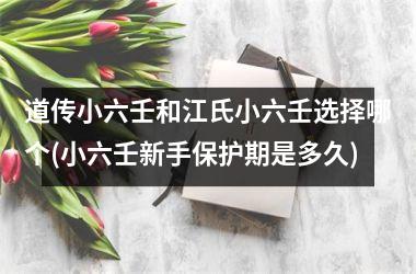 道传小六壬和江氏小六壬选择哪个(小六壬新手保护期是多久)