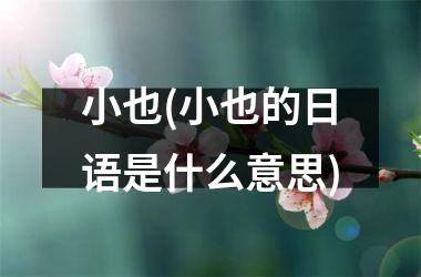 <h3>小也(小也的日语是什么意思)