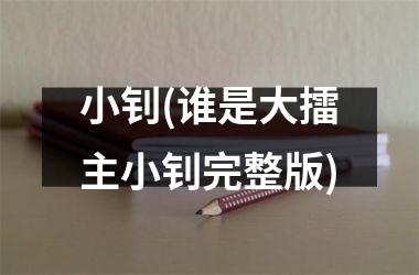 小钊(谁是大擂主小钊完整版)