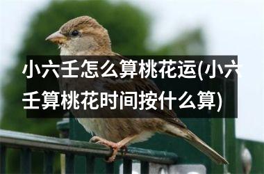 小六壬怎么算桃花运(小六壬算桃花时间按什么算)