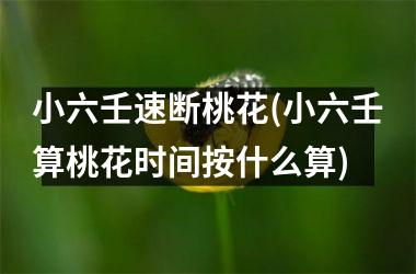<h3>小六壬速断桃花(小六壬算桃花时间按什么算)