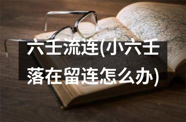 <h3>六壬流连(小六壬落在留连怎么办)
