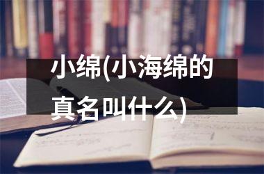 小绵(小海绵的真名叫什么)