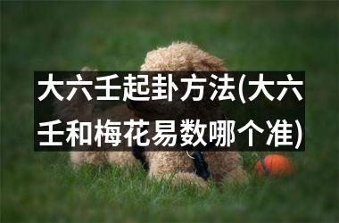 <h3>大六壬起卦方法(大六壬和梅花易数哪个准)
