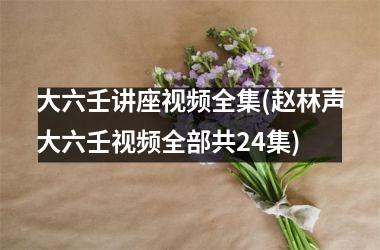 大六壬讲座全集(赵林声大六壬全部共24集)