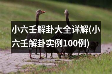 <h3>小六壬解卦大全详解(小六壬解卦实例100例)