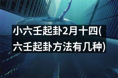 小六壬起卦2月十四(六壬起卦方法有几种)