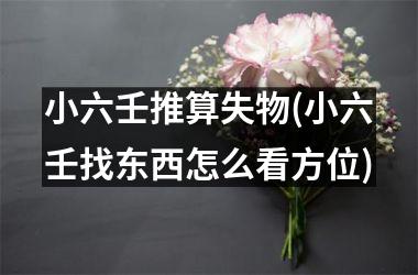 小六壬推算失物(小六壬找东西怎么看方位)