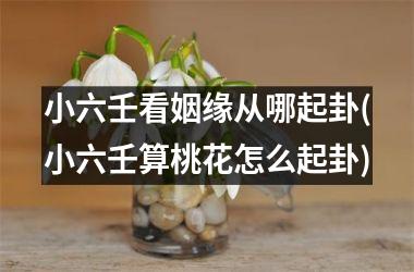 <h3>小六壬看姻缘从哪起卦(小六壬算桃花怎么起卦)