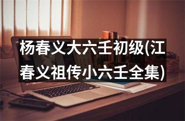 <h3>杨春义大六壬初级(江春义祖传小六壬全集)