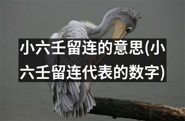 小六壬留连的意思(小六壬留连代表的数字)