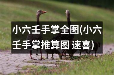 小六壬手掌全图(小六壬手掌推算图 速喜)