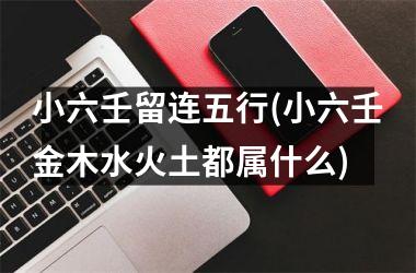 小六壬留连五行(小六壬金木水火土都属什么)