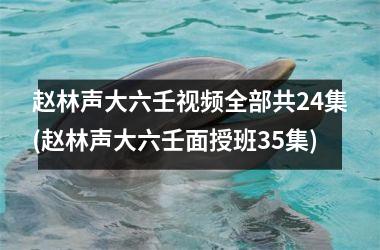 <h3>赵林声大六壬全部共24集(赵林声大六壬面授班35集)