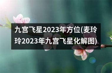 九宫飞星2023年方位(麦