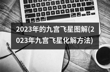 2023年的九宫飞星图解(2