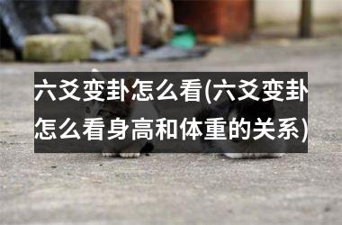 六爻变卦怎么看(六爻变卦怎么看身高和体重的关系)