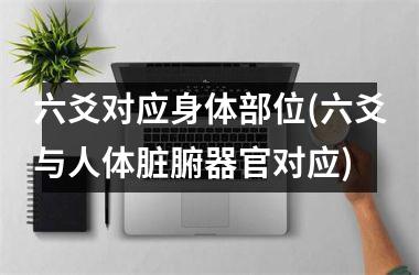 六爻对应身体部位(六爻与人体脏腑器官对应)