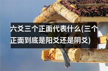 六爻三个正面代表什么(三个正面到底是阳爻还是阴爻)