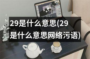 29是什么意思(29是什么意思网络污语)
