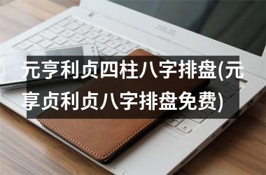 <h3>元亨利贞四柱八字排盘(元享贞利贞八字排盘免费)