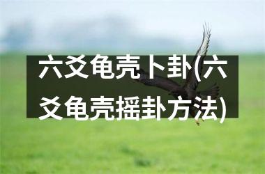 六爻龟壳卜卦(六爻龟壳摇卦方法)