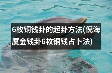 6枚铜钱卦的起卦方法(倪海厦金钱卦6枚铜钱占卜法)