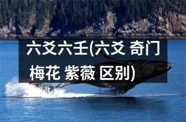 <h3>六爻六壬(六爻 奇门 梅花 紫薇 区别)
