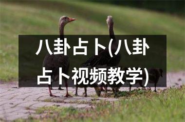 <h3>八卦占卜(八卦占卜教学)